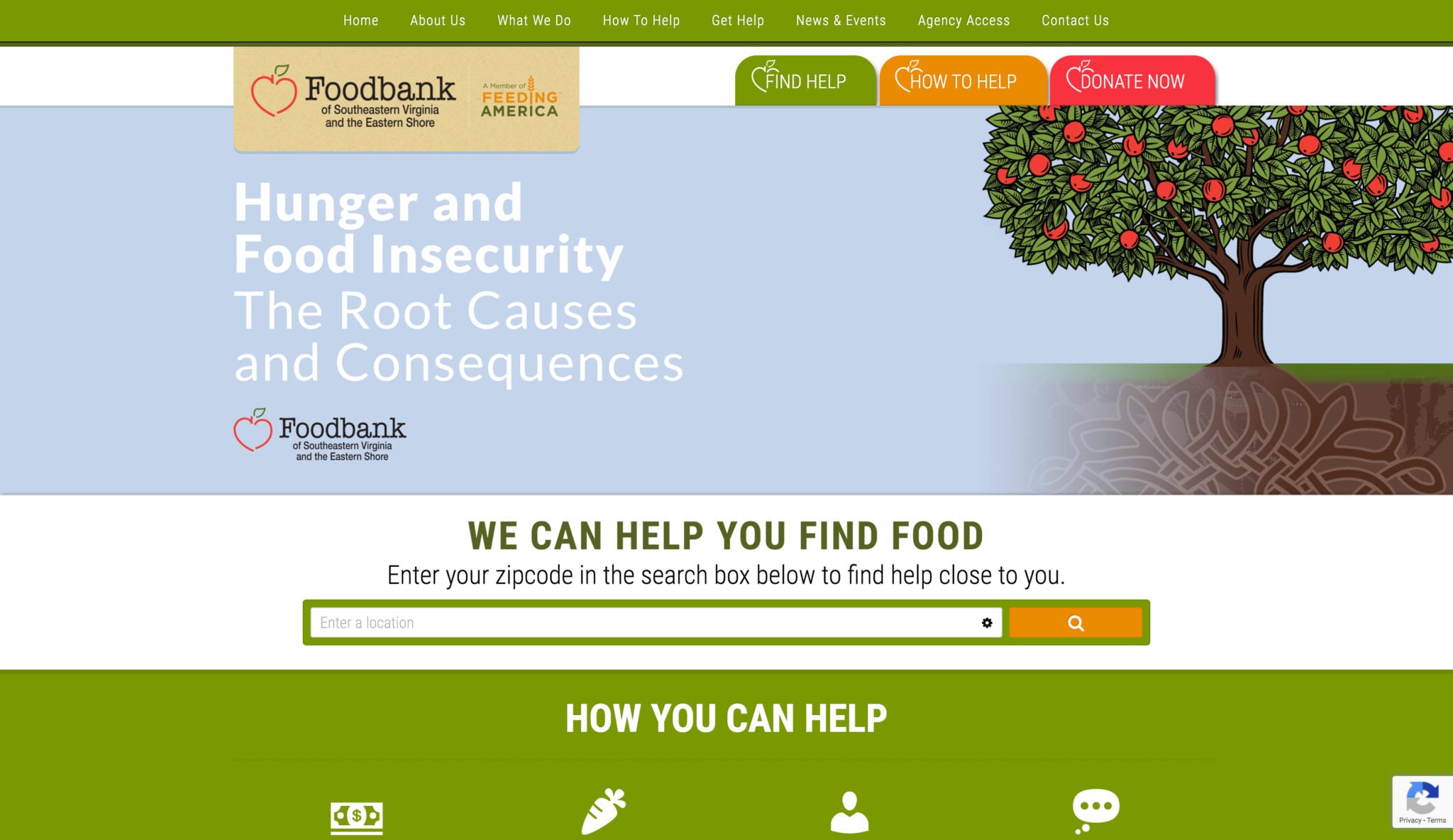 foodbank site scaled